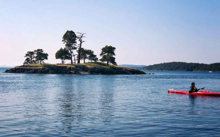 adults only sea kayaking trip in the pacific northwest